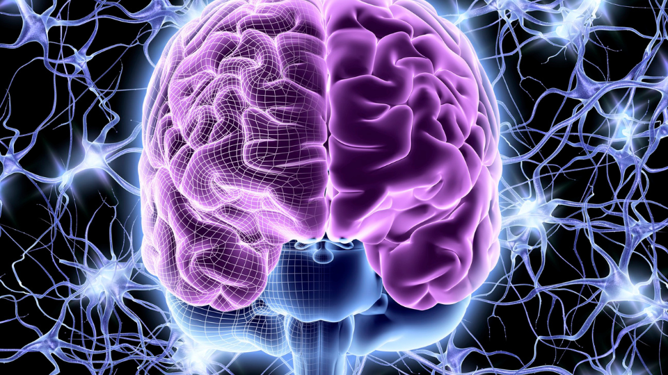 Agnosia: quando il cervello non riconosce ciò che vede, sente o tocca